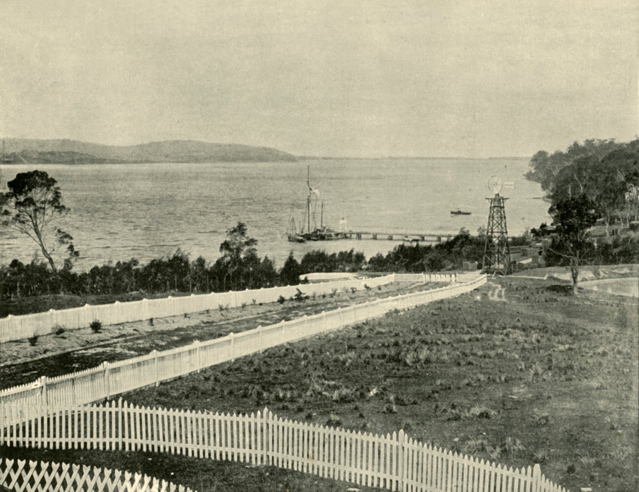 Lake Macquarie, fra Toronto, 1901. av Unbekannt