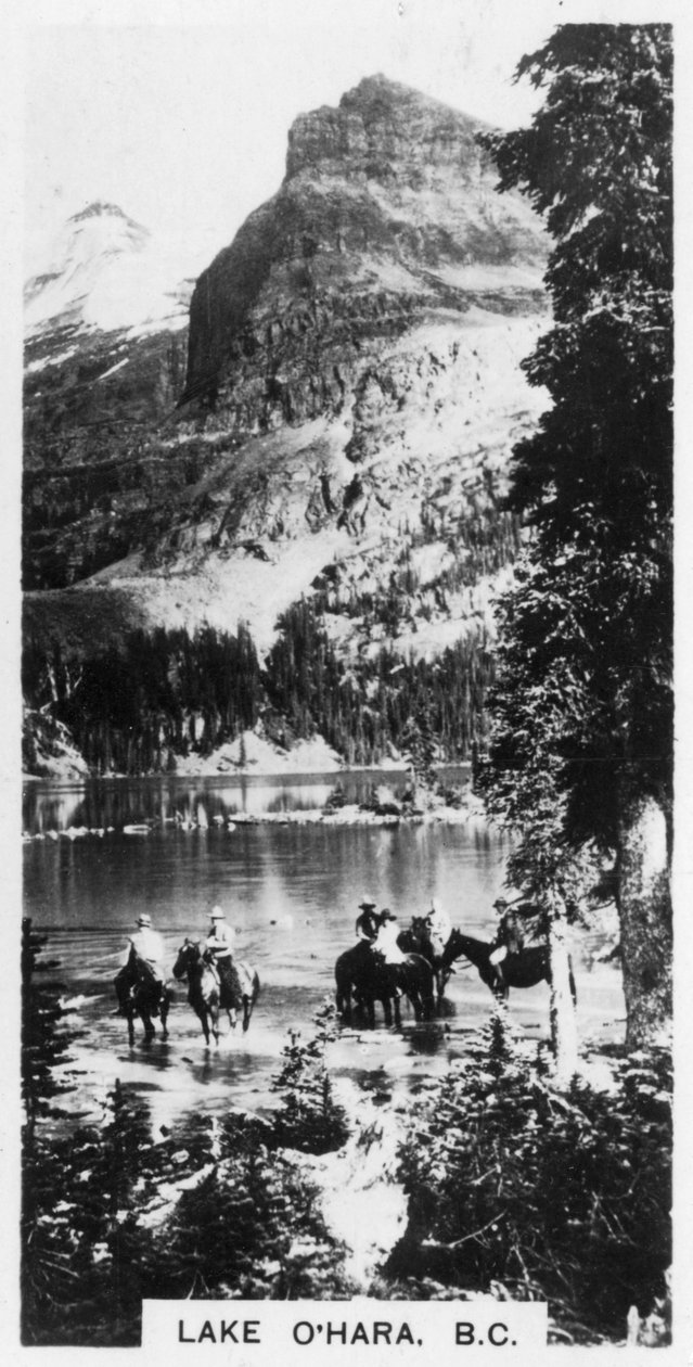 Lake OHara, British Columbia, Canada, ca 1920-tallet av Unbekannt