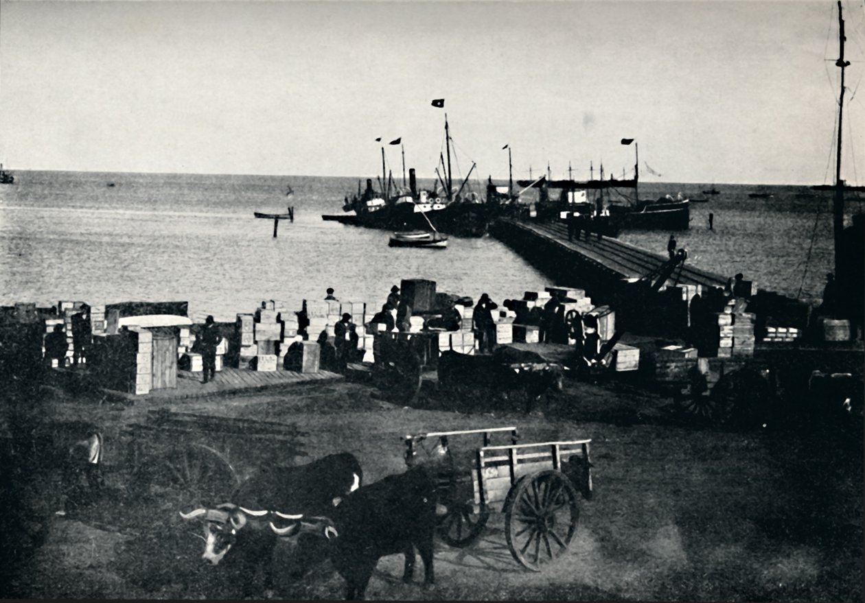 Landingssted, Punta Arenas, 1911 av Unbekannt