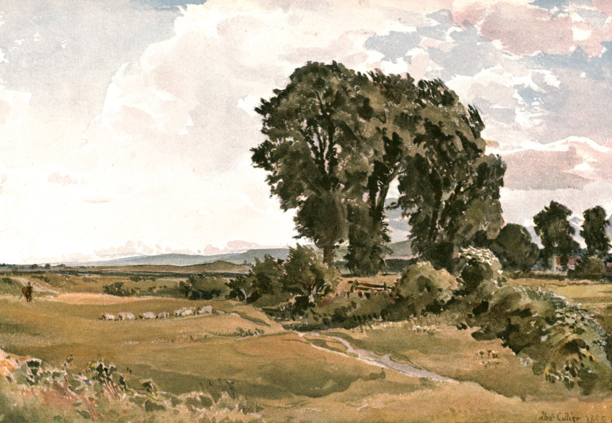 Landskap, nær Wareham, Dorset - an Outdoor Sketch, c1900. av Unbekannt