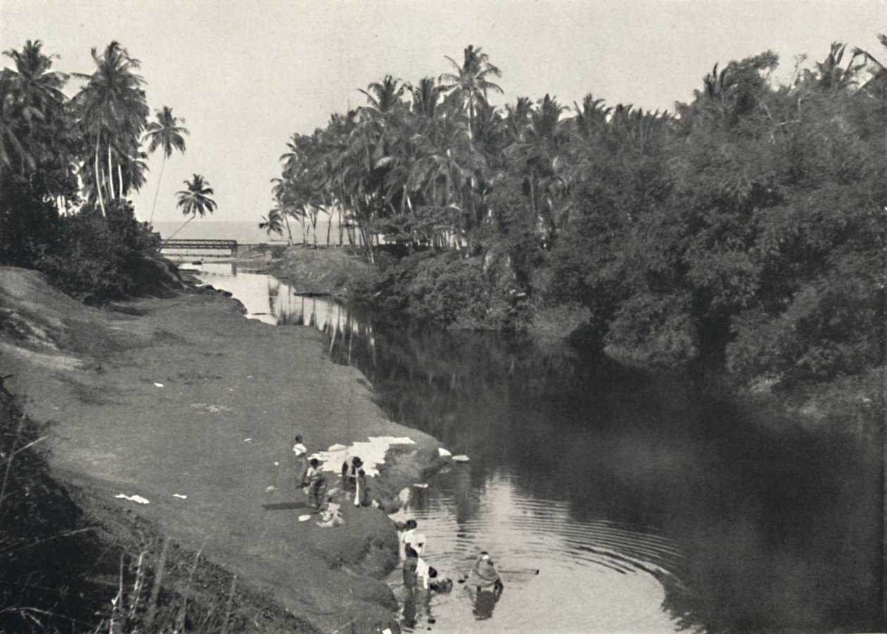 Elvelandskap ved Dehiwala, mellom Colombo og Lavinia-fjellet, 1926 av Unbekannt
