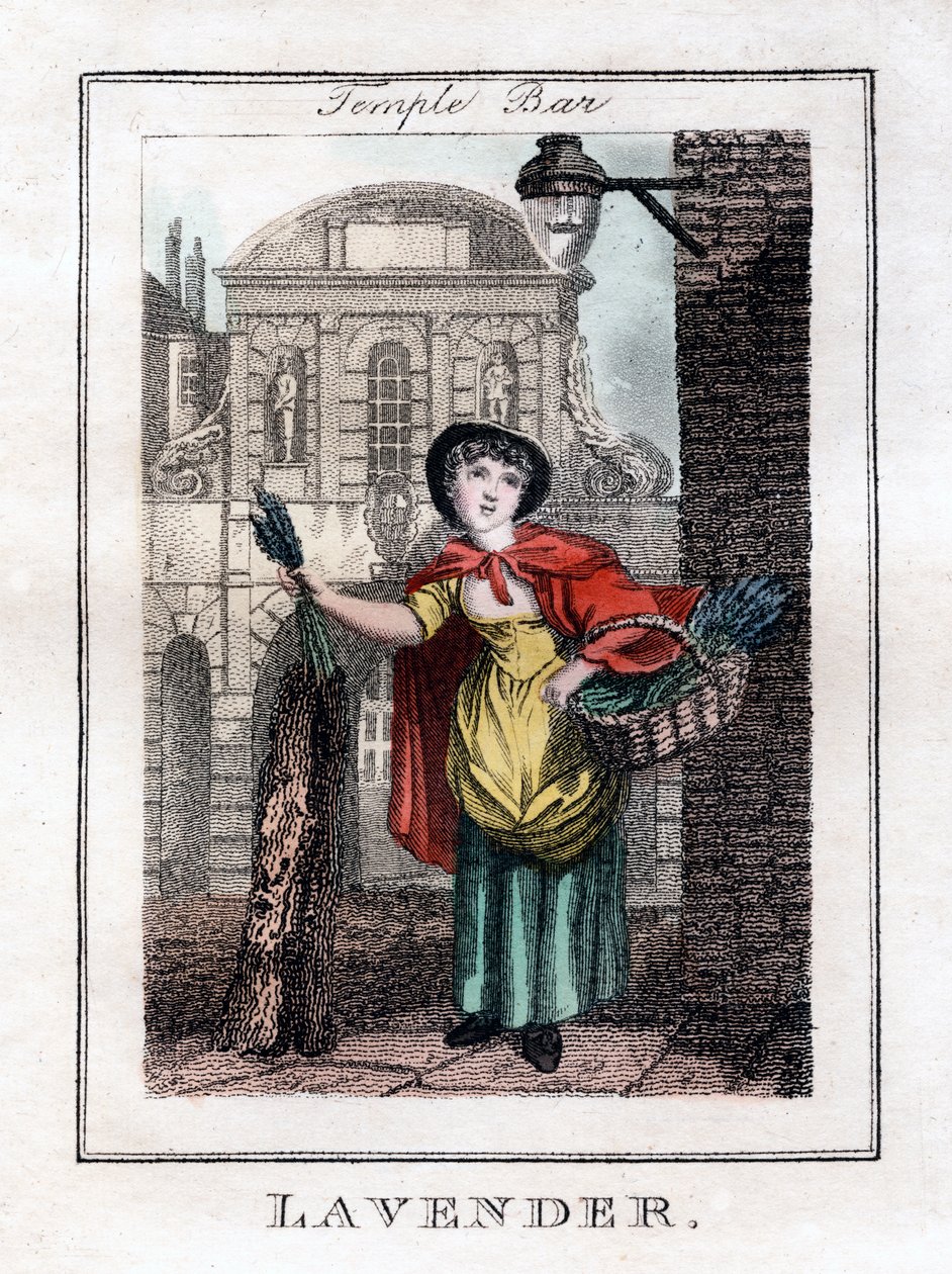 Lavendel, Temple Bar, London, 1805 av Unbekannt
