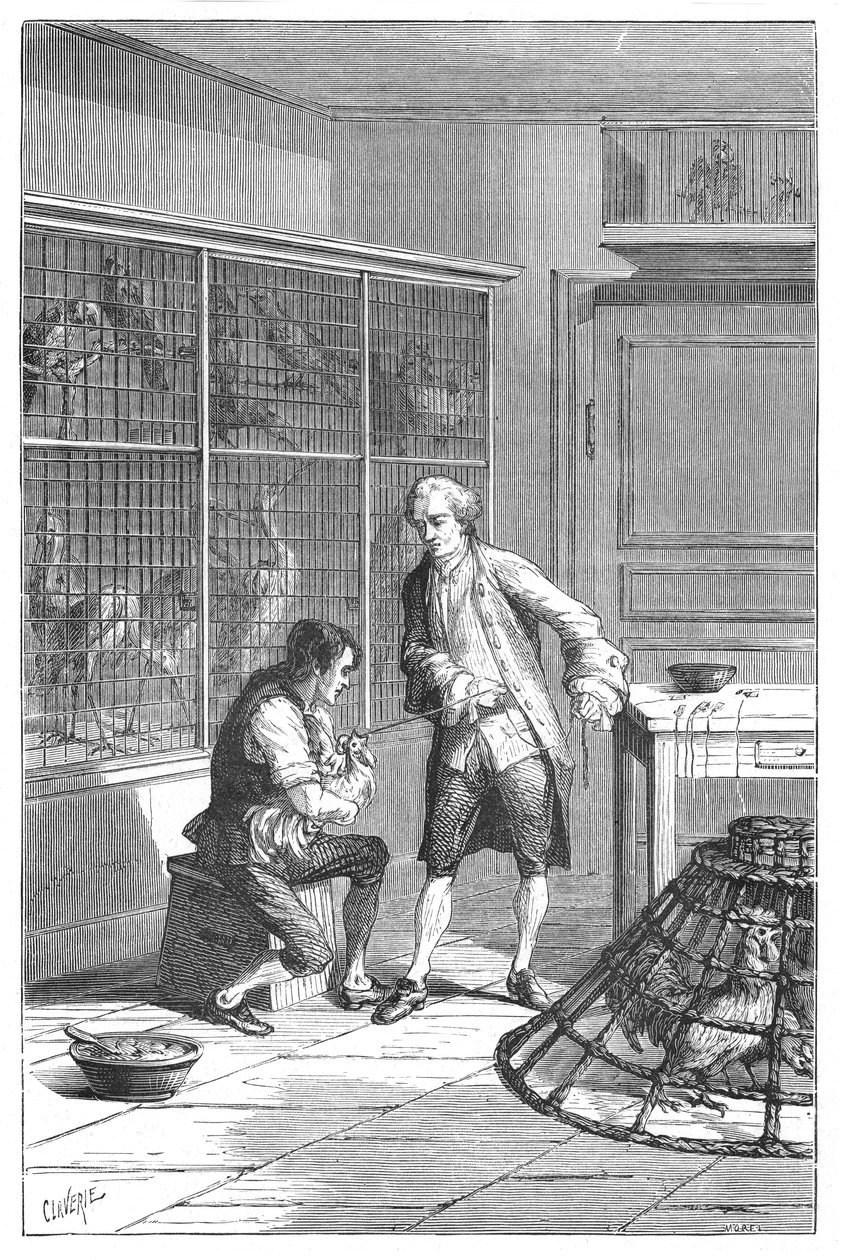 Lazaro Spallanzani , italiensk naturforsker og biolog fra 1700-tallet, 1874 av Unbekannt