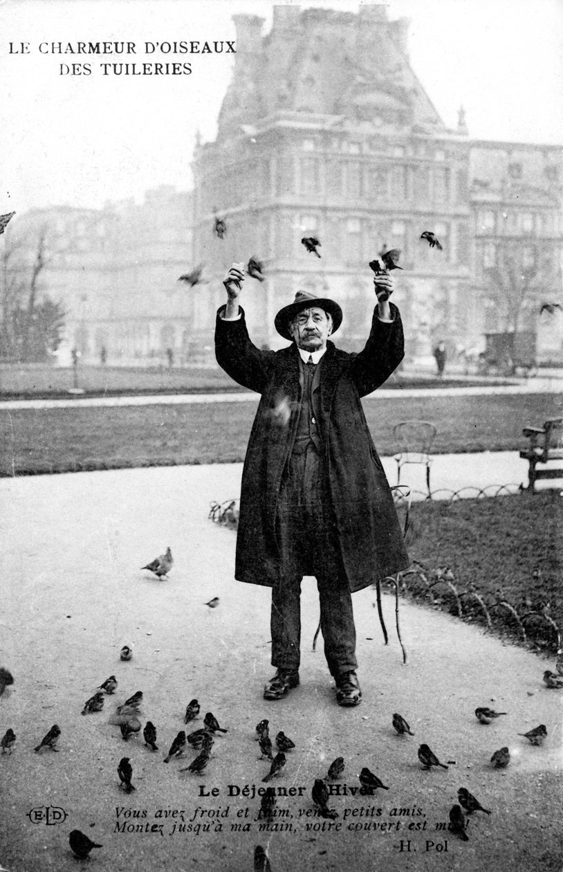 The Tuileries Bird Charmer, 20. århundre av Unbekannt