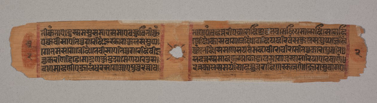 Blad fra et Jain-manuskript, Kalpa-sutra, tekst som beskriver nedstigning av Mahavira inn i livmoren til Brahman-kvinnen Devananda (verso av Unbekannt Unbekannt