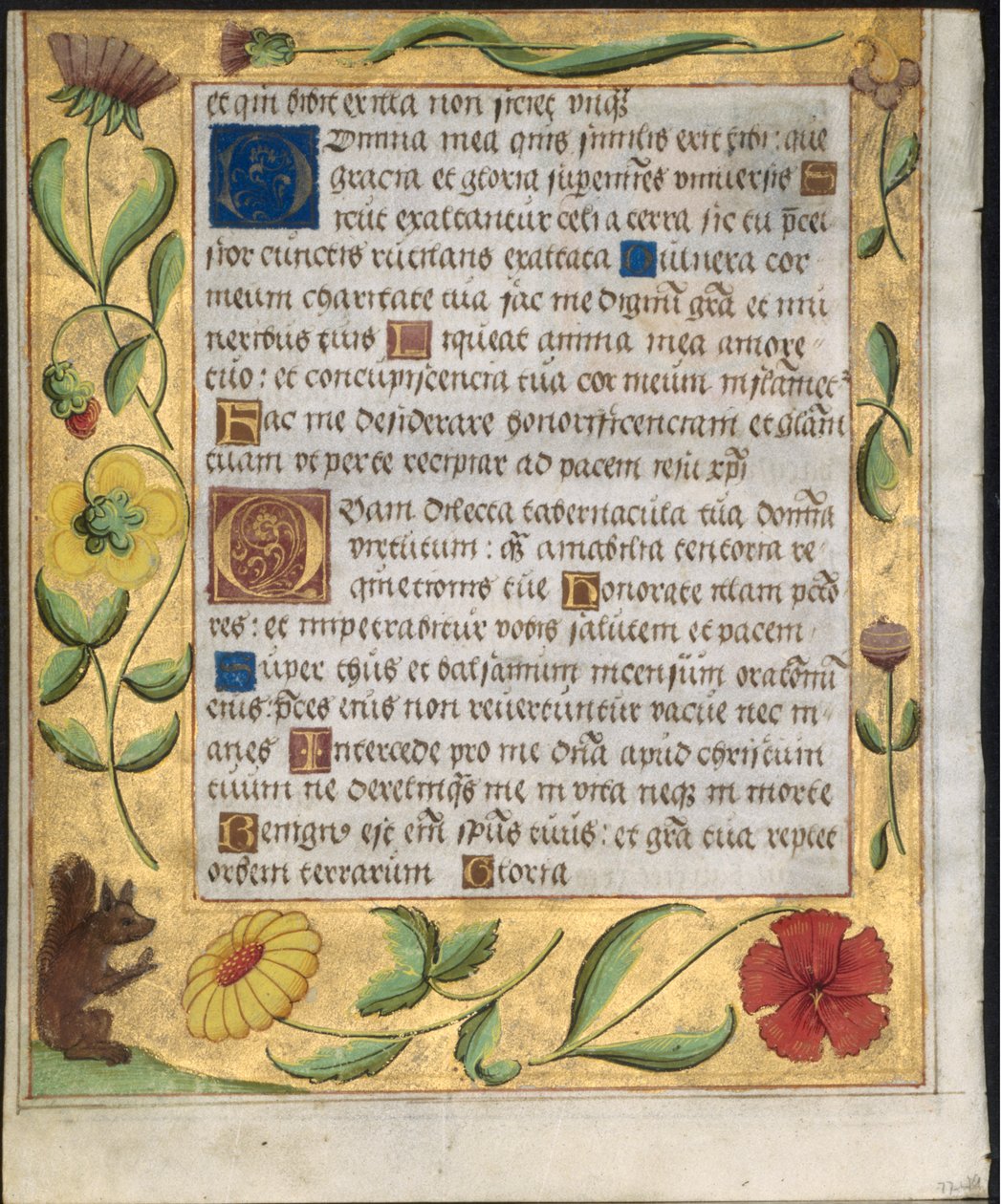Blad fra en Psalter and Prayerbook: Ornamental Border with Flowers and Equirrel verso, ca. 1524. av Unbekannt
