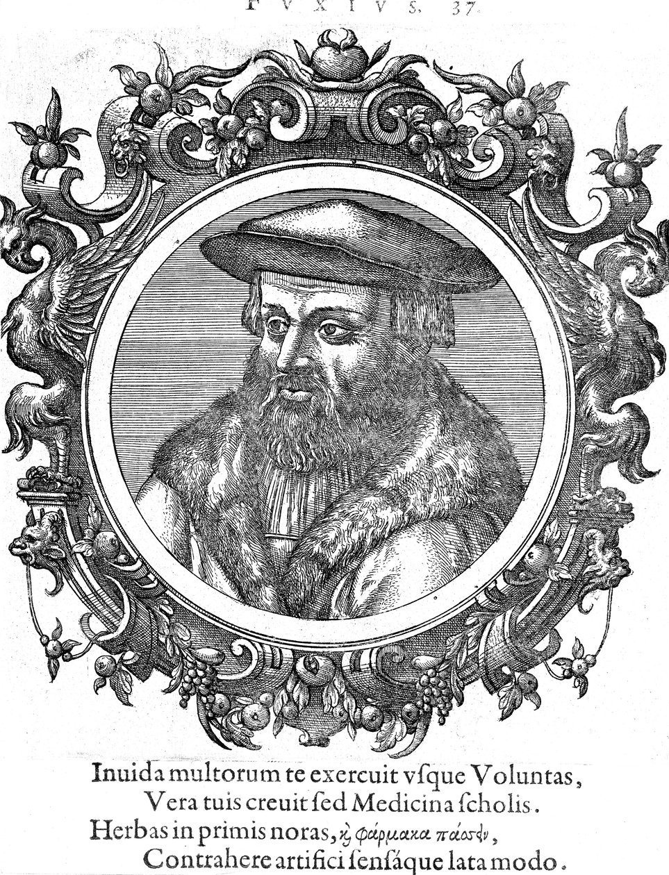 Leonhard Fuchs , tysk botaniker og lege av Unbekannt