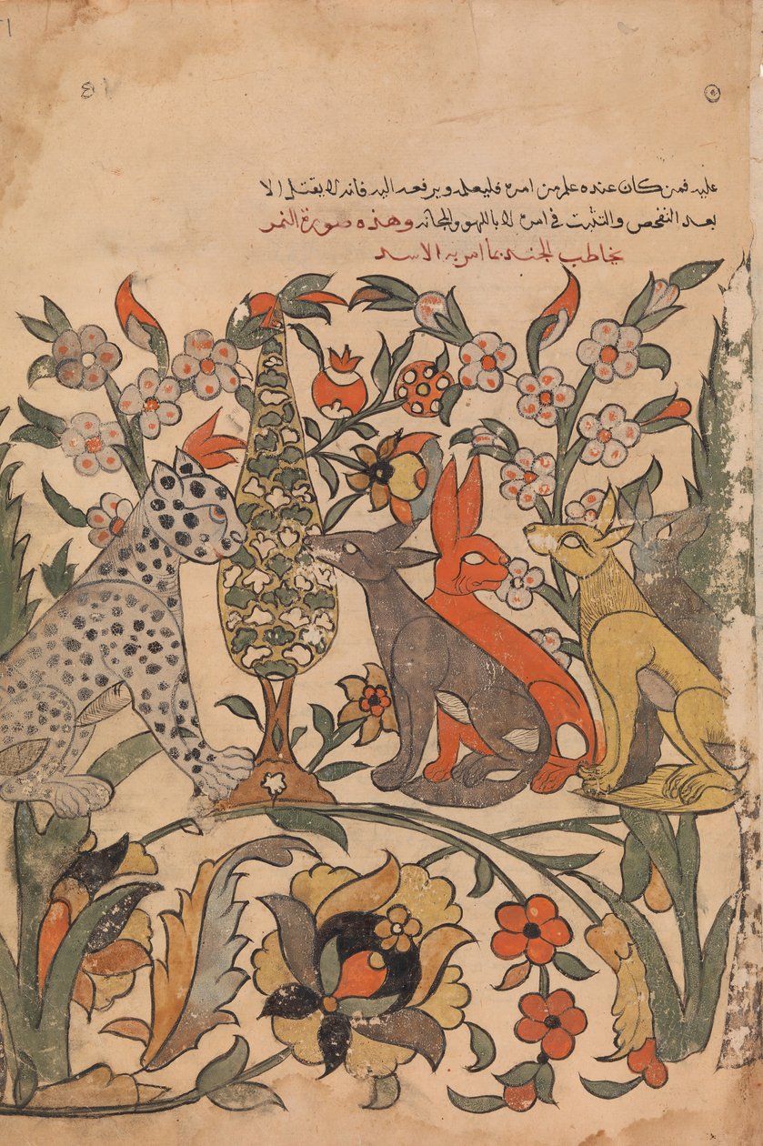 Leopard med løveorden til andre dommere, Folio 51 recto fra en Kalila wa Dimna, 1700-tallet. av Unbekannt