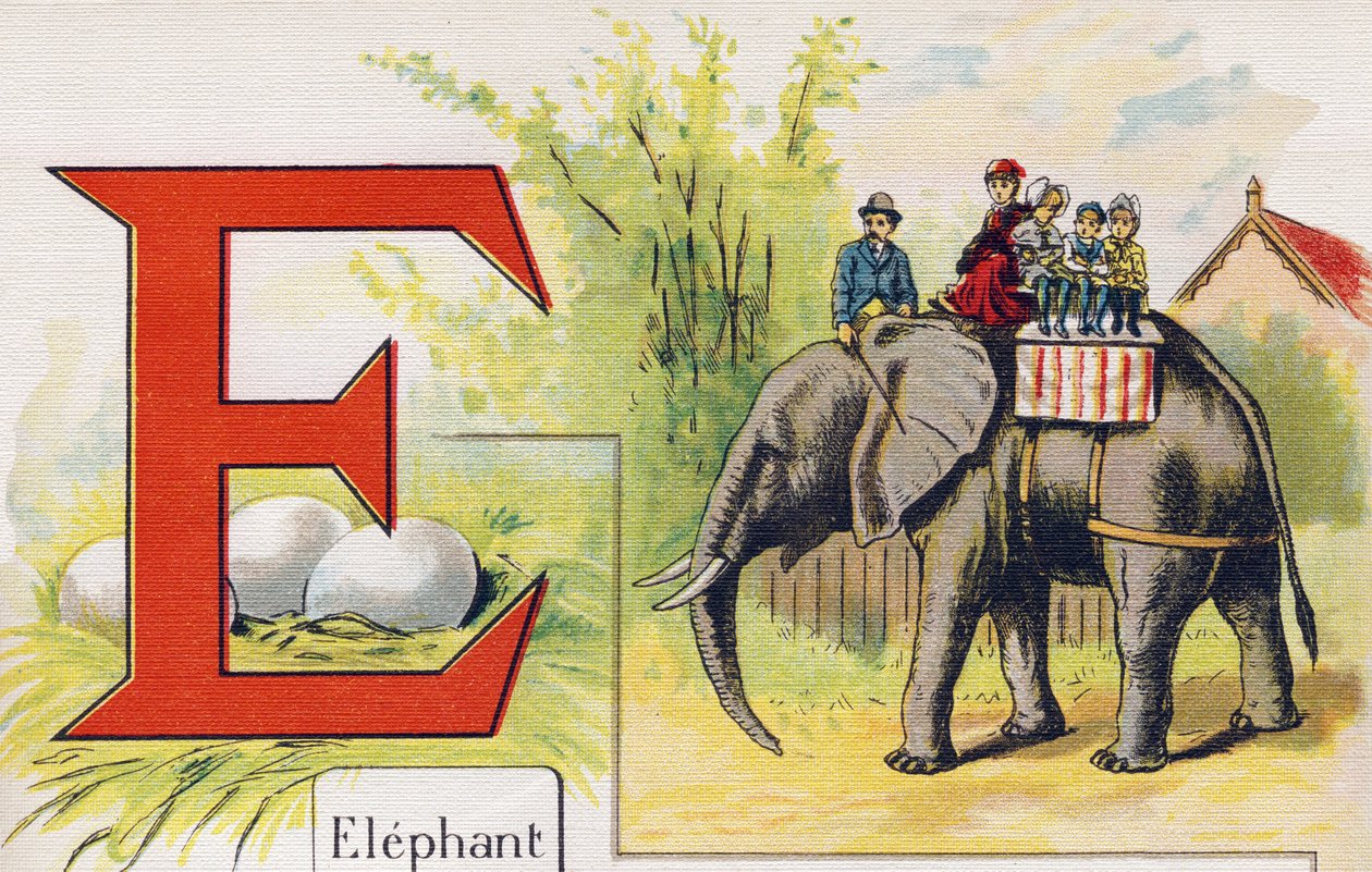 Bokstav E: Elefant. Gravering i "ABC L