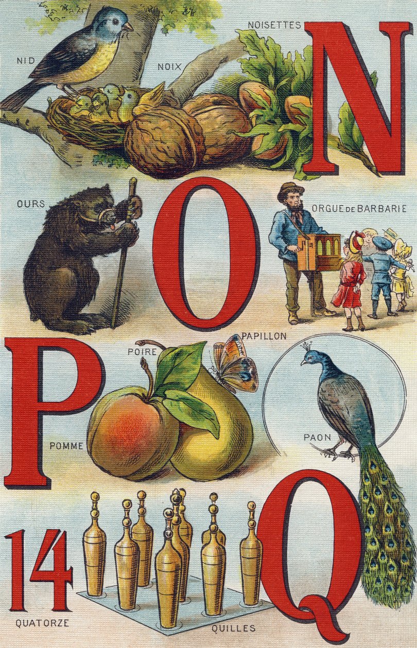 Bokstaver N O P Q; Rede; hasselnøtter; Pickly Organ; Bjørn; Påfugl; sommerfugl eple pære; Skåler. Gravering i "Alphabet de ma petite fille". Bernardin-Bechet og Fils, bokhandler-forlag, Paris, rundt 1895. Ubrytelig album på lerret. Bibliotheque des Bebe av Unbekannt