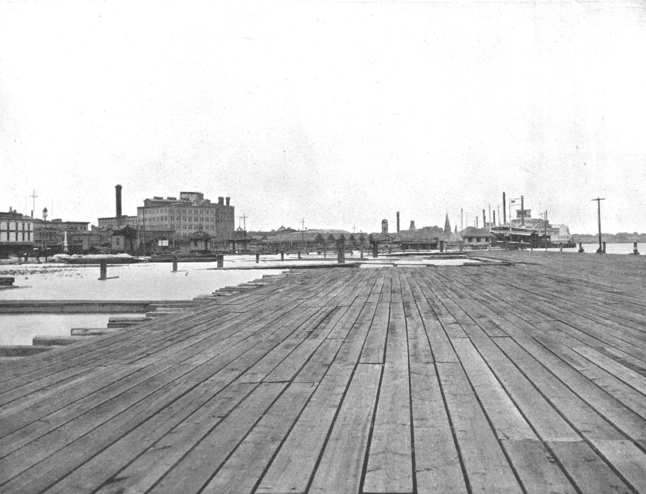 Levee and Steamboat Landing, New Orleans, Louisiana, USA, c1900. av Unbekannt