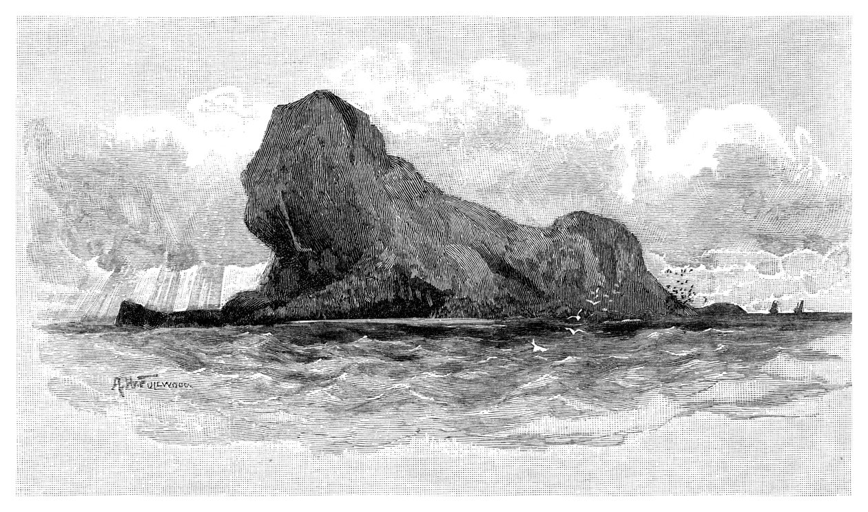 Lion Island, Australia, 1886 av Unbekannt