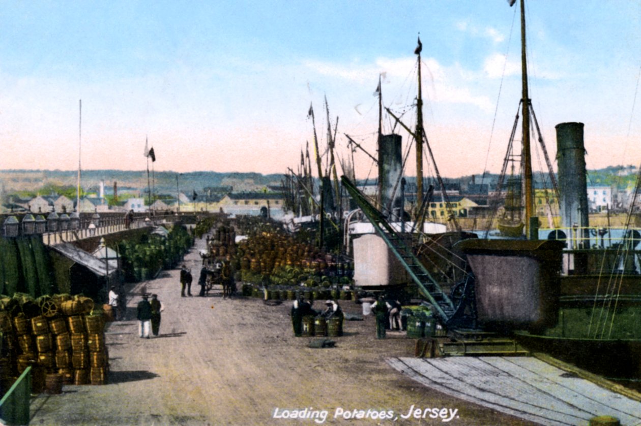 Laster poteter, Jersey, 1908 av Unbekannt