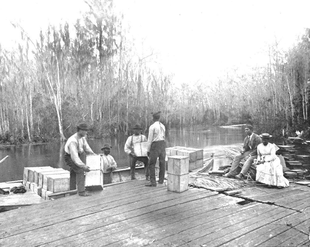 Laster appelsiner på Ocklawaha River, Florida, USA, c1900. av Unbekannt