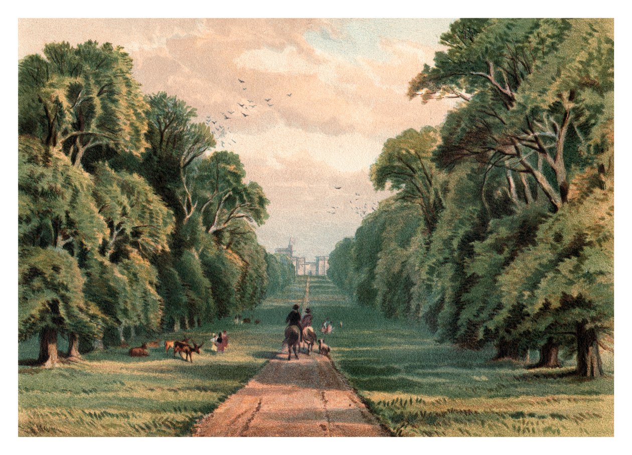 Long Walk, Windsor Park, 1880 av Unbekannt