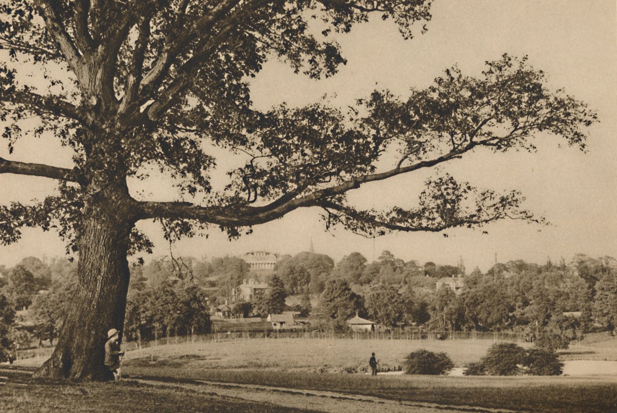 Ser fra de grønne bakkene til Caen Wood mot kirkespiren til Old Highgate, c1935. av Unbekannt