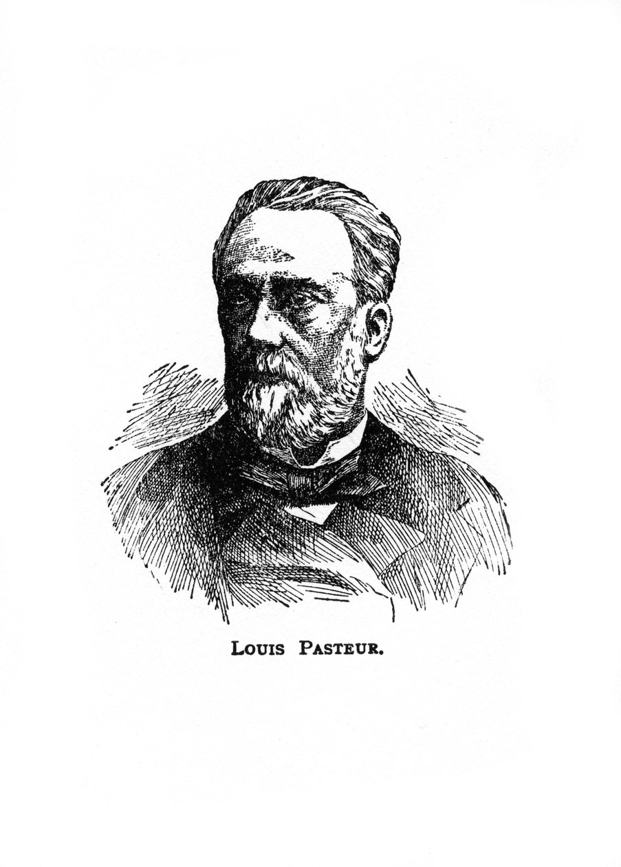 Louis Pasteur , fransk mikrobiolog og kjemiker fra 1800-tallet, 1900-tallet av Unbekannt
