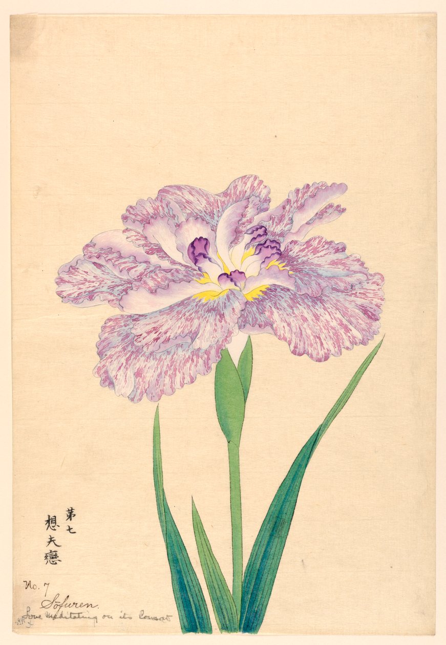 Love Meditating on Its Consort (Sofuren), nr. 7, ca. 1910 av Unbekannt