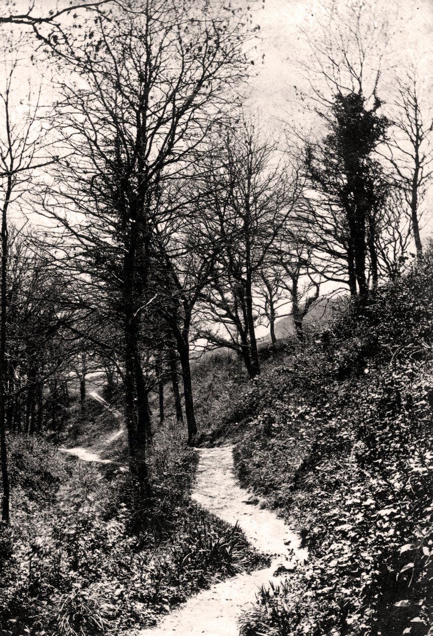 Lovers Lane, Fairlight, Hastings, Sussex av Unbekannt