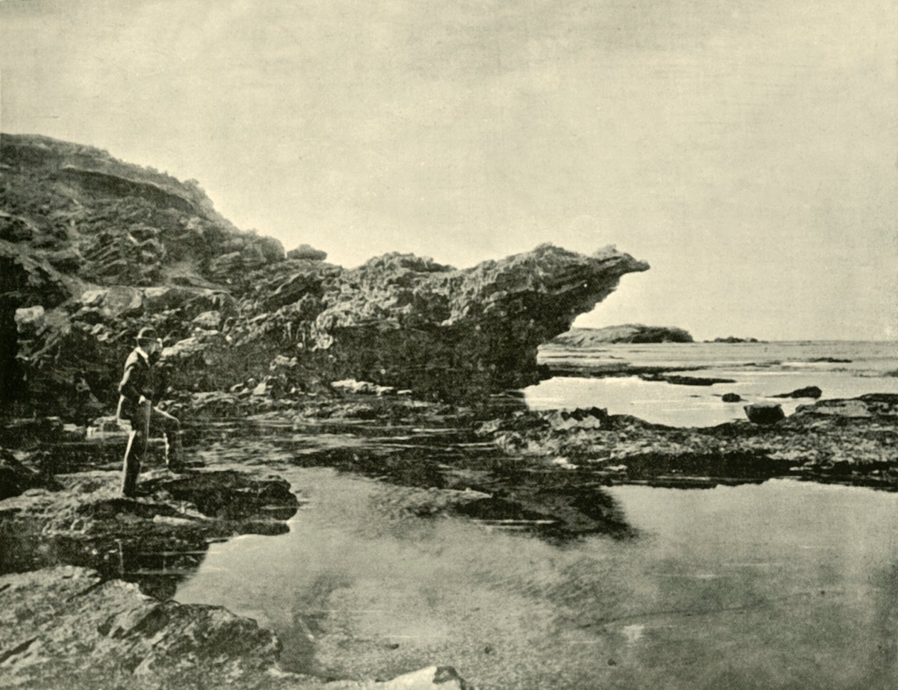 Lavvann, Shelly Beach, Warrnambool, 1901. av Unbekannt