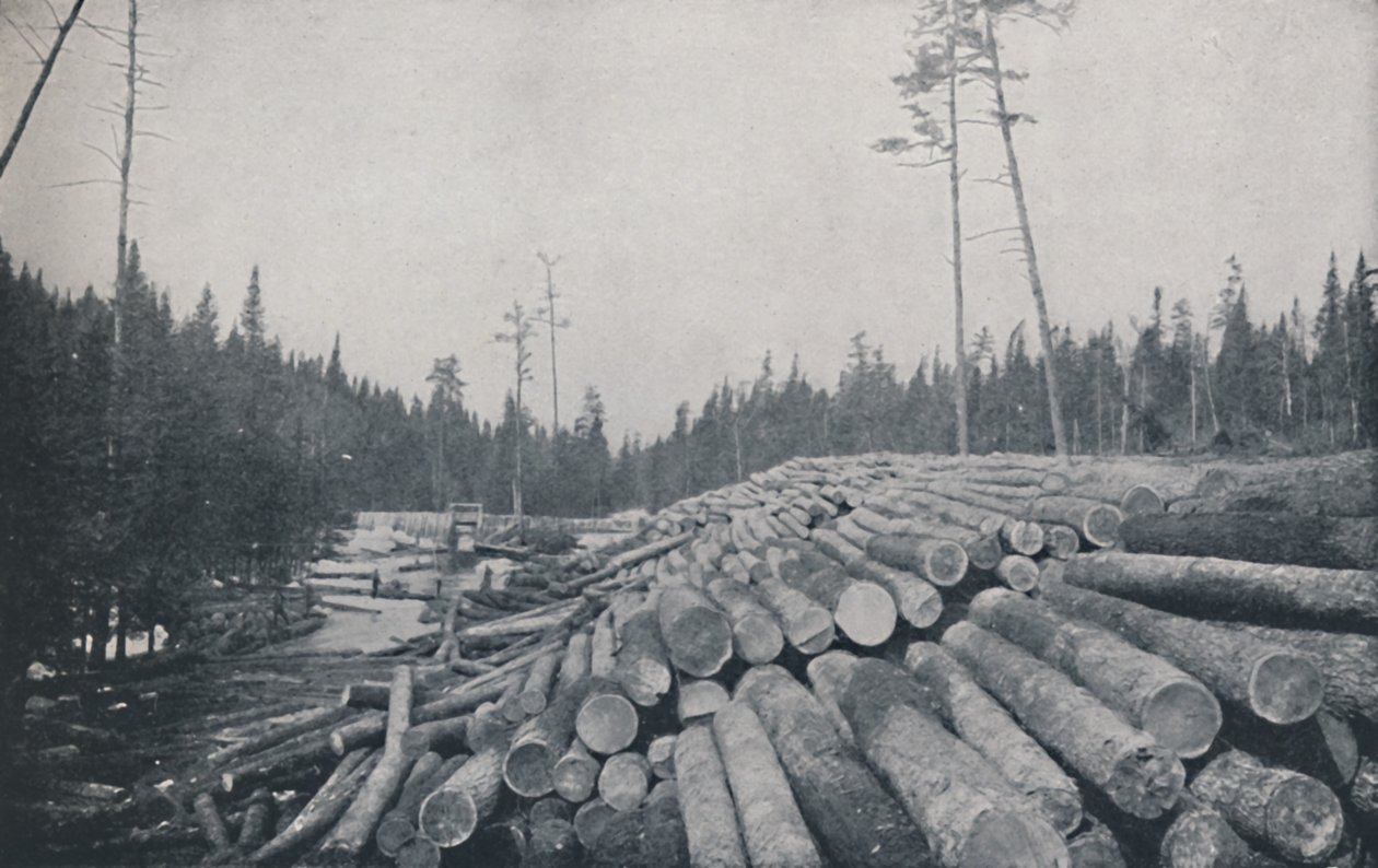 Tømmerarbeid, 1924 av Unbekannt