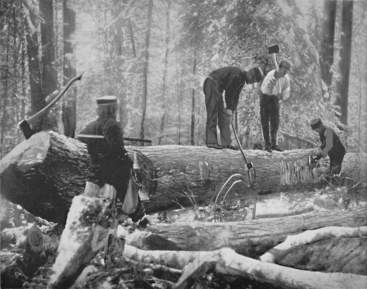 Tømmer ved elven Ottawa, Canada, c1897. av Unbekannt
