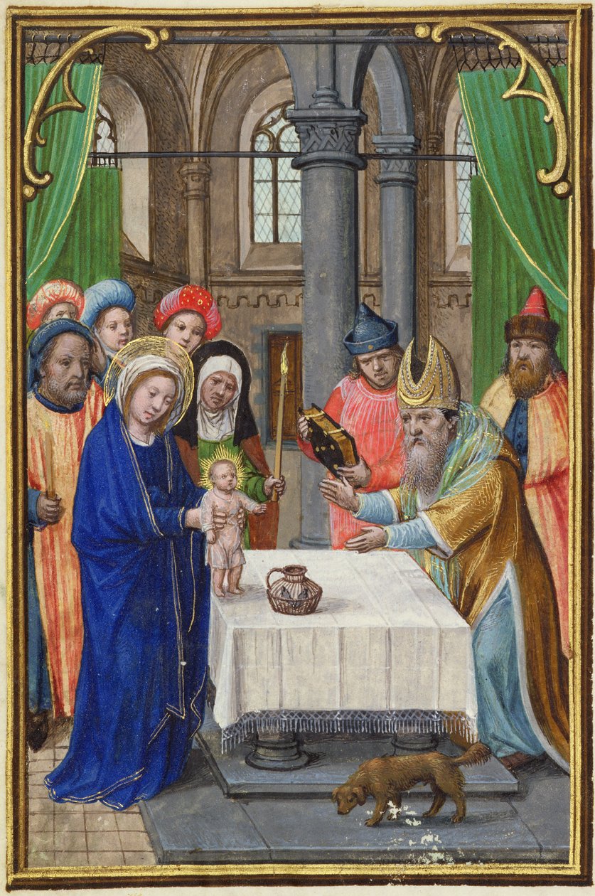 MS.257A The Presentation in the Temple, from a Book of Prayers, tidlig på 1500-tallet (manuskript) av Unbekannt