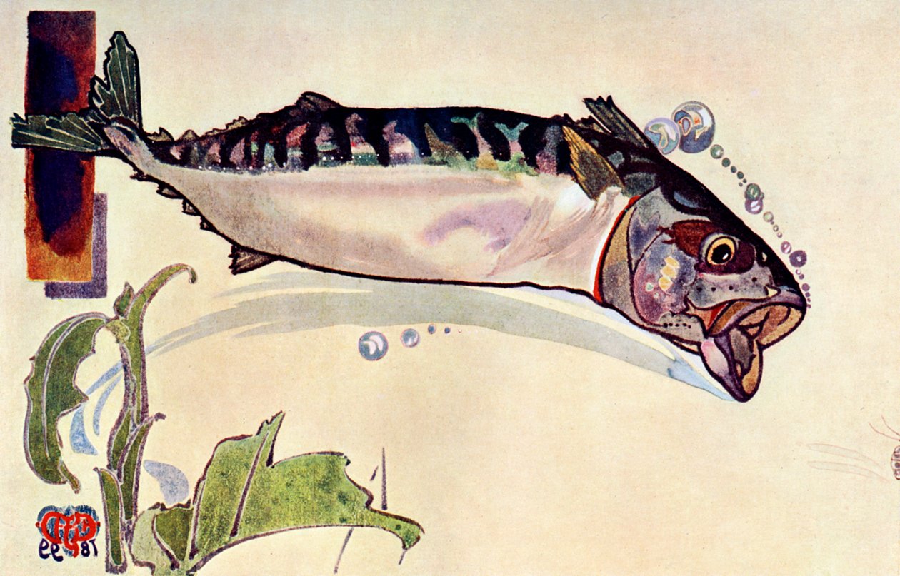 Makrell, 1900 av Unbekannt