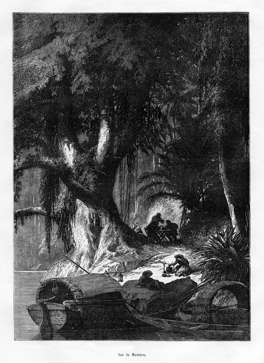 Madeira-elven, Sør-Amerika, 1800-tallet av Unbekannt