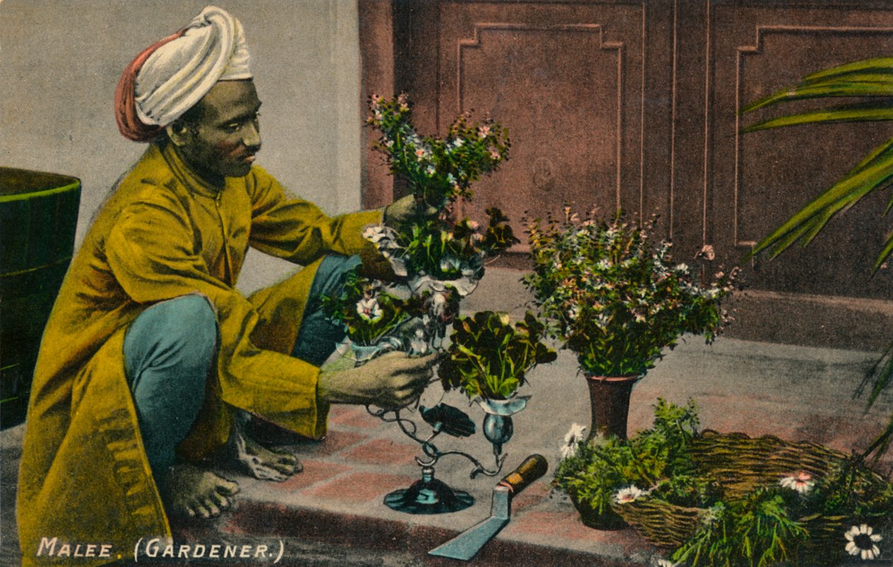 Mannlig gartner, c1900 av Unbekannt