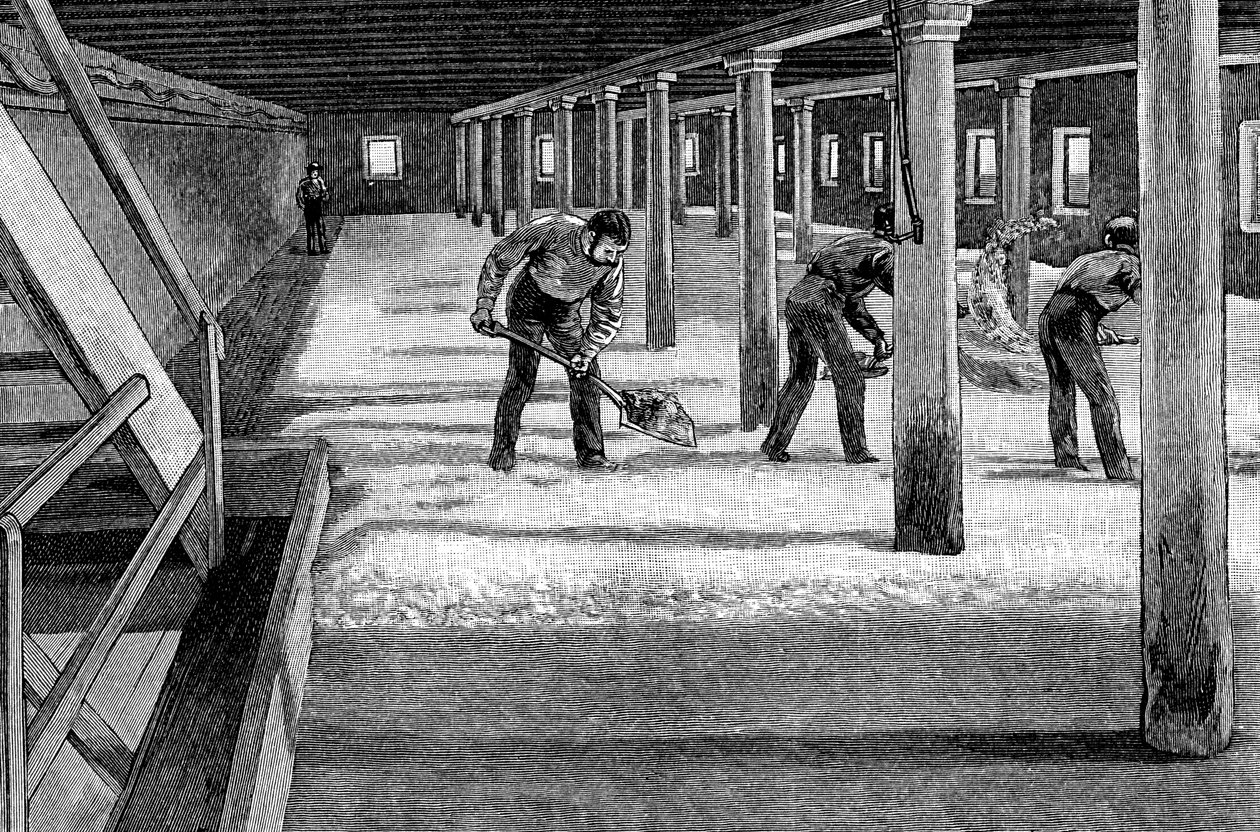 Maltegulv i et amerikansk bryggeri, 1885 av Unbekannt