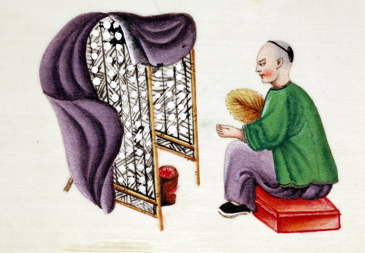 Mann som tørker silkeormkokonger, 1800-tallet av Unbekannt