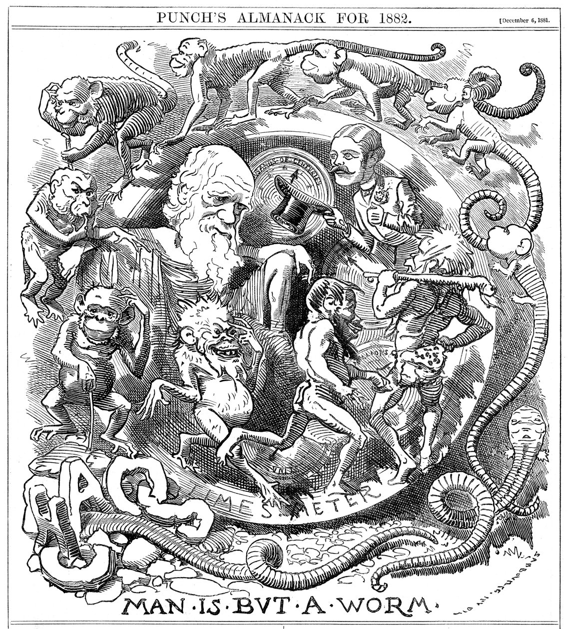 Man is but a Worm, tegneserie fra Punch som viser utviklingen fra orm til mann, 1881 av Unbekannt