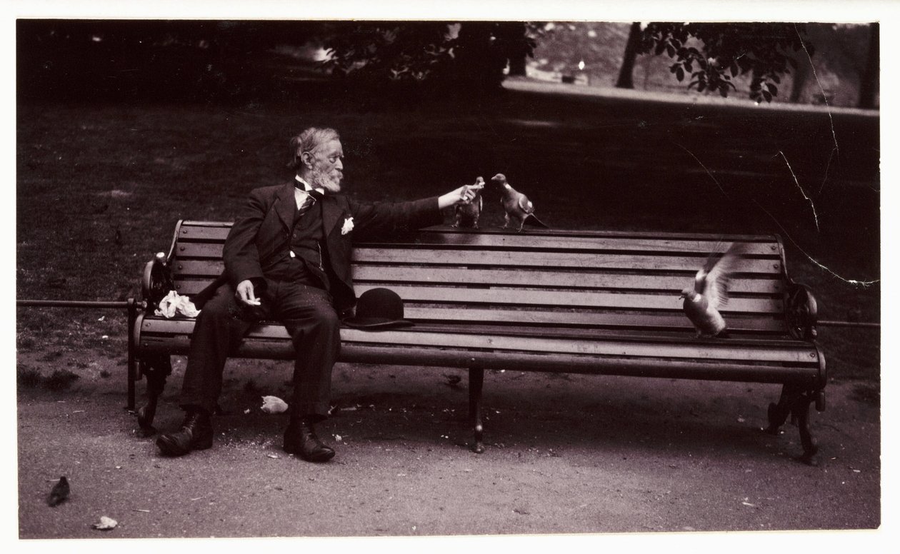 Mann på en parkbenk, ca 1920 Et øyeblikksbilde av en mann som sitter på en parkbenk og mater duer, tatt av en ukjent fotograf i ca. 1920 av Unbekannt