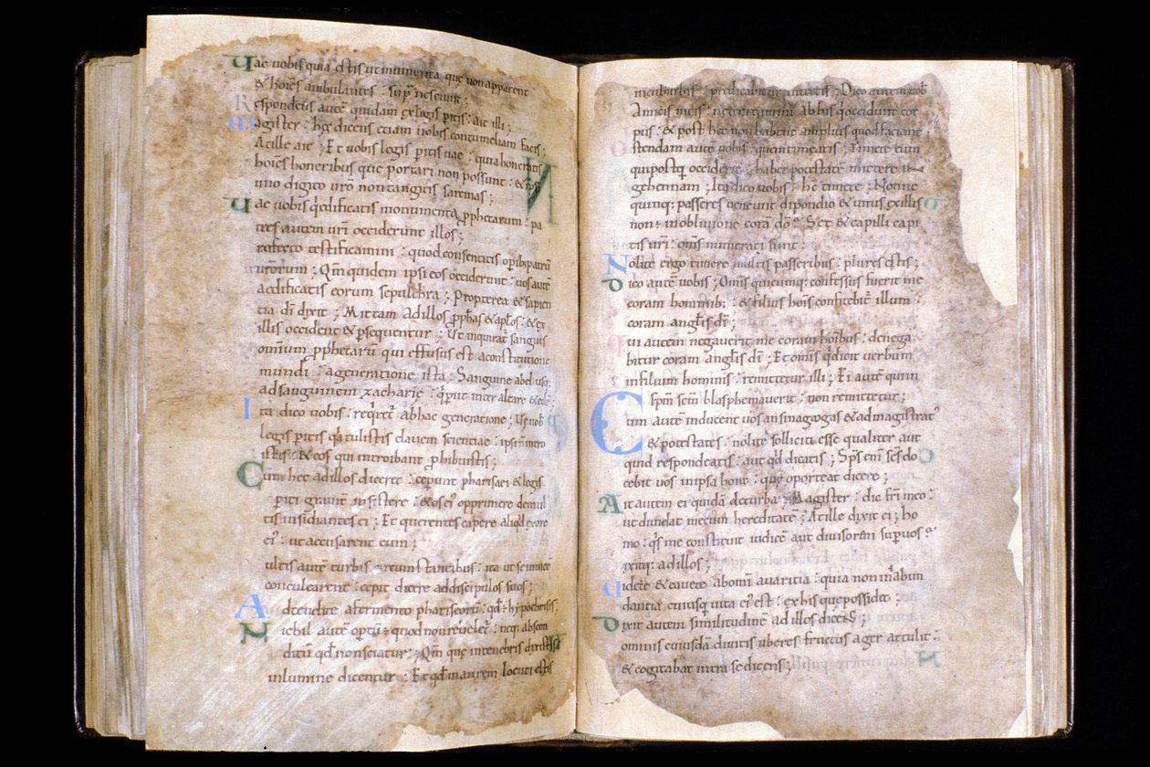 Manche N* 066, City of Mortain, Treasure of the Saint Evroult collegiate church, evangeliebok fra 1000-tallet. av Unbekannt