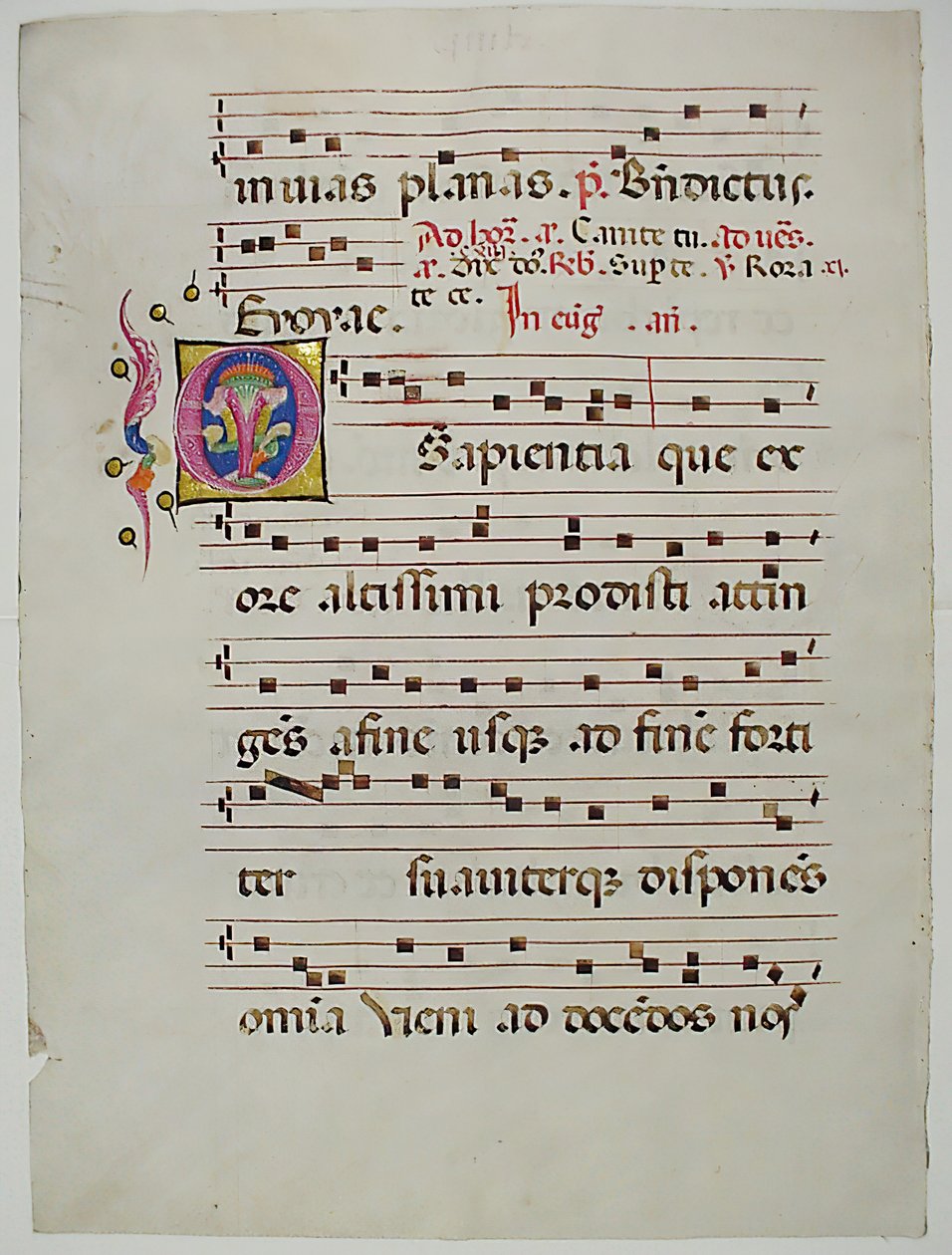 Manuskriptblad med initial O, fra et antifonarium, italiensk, 1400-tallet. av Unbekannt