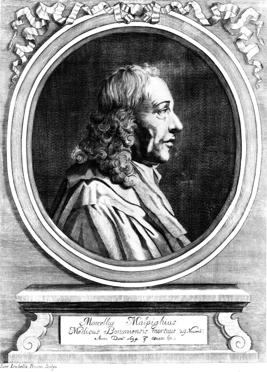 Marcello Malpighi, italiensk medisinsk pioner, ca 1870 av Unbekannt