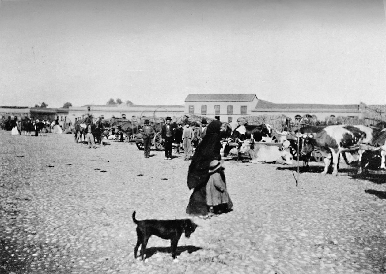 Markedsdag i Chillan, 1911 av Unbekannt