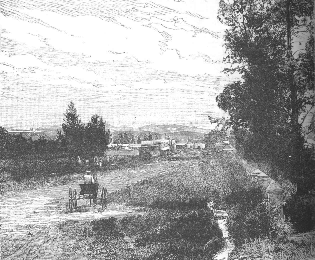 Market Street, Pretoria, ca 1880-tallet av Unbekannt