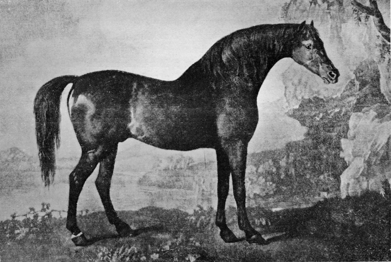 Marske, 1750-1779, 1911 av Unbekannt