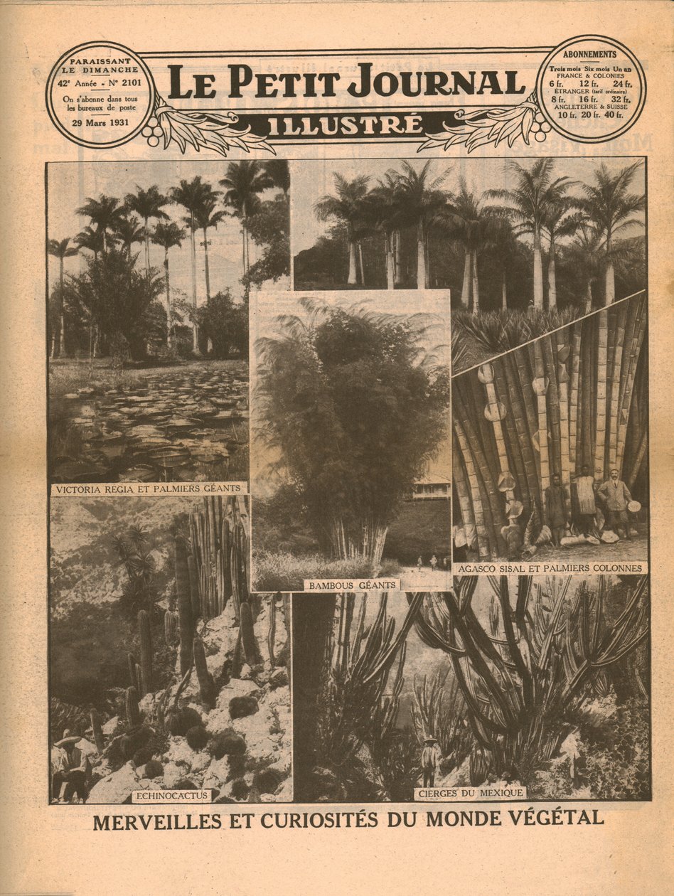 Planteverdenens vidundere og kuriositeter, 1931. av Unbekannt