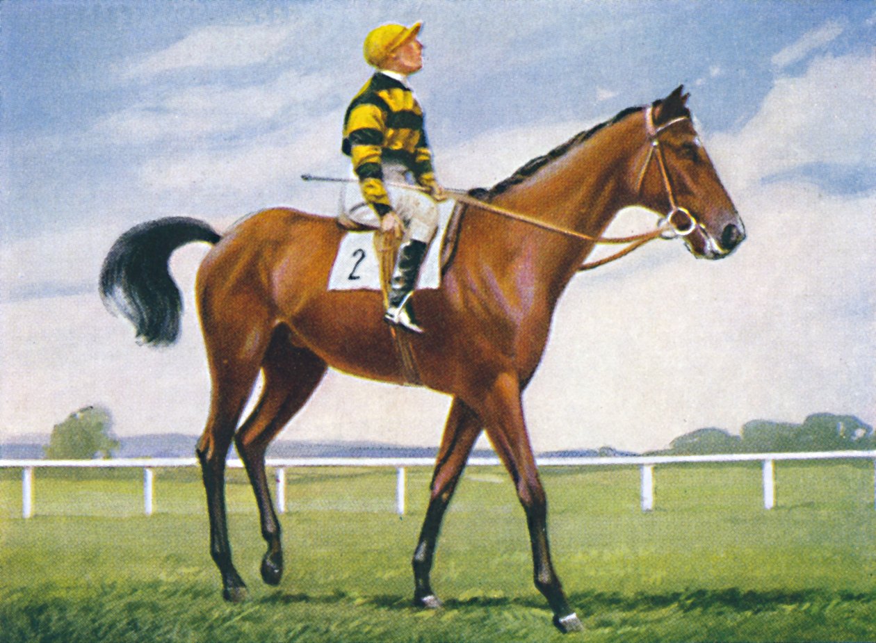 Meadow, Jockey: T. Weston, 1939 av Unbekannt