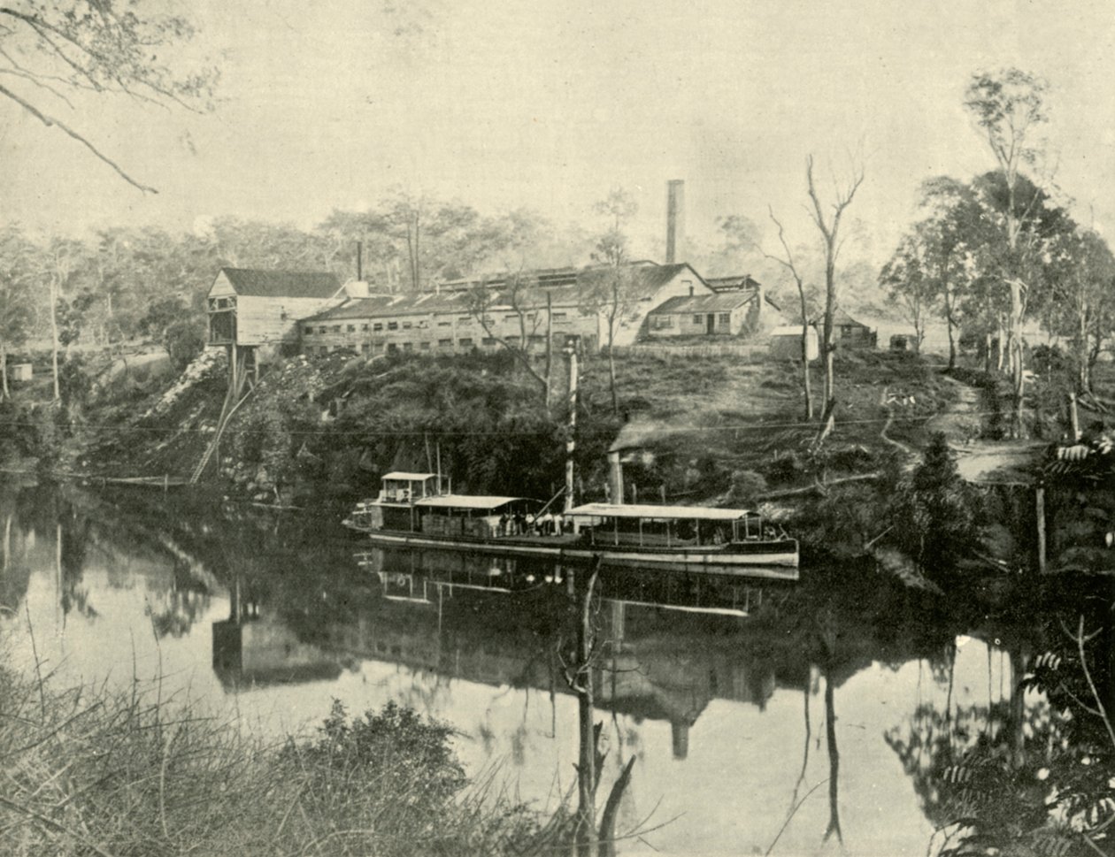 Meat Works, nær Grafton, New South Wales, 1901. av Unbekannt