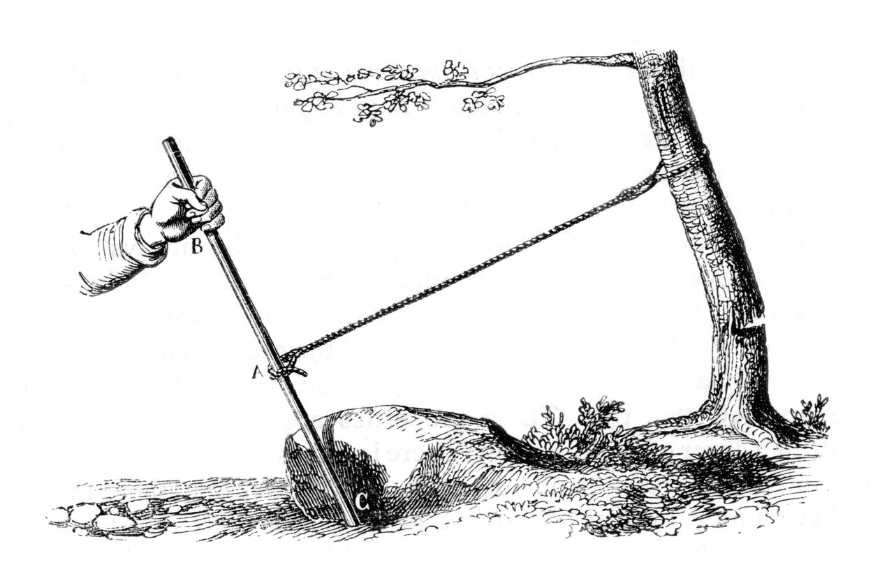 Mekanisk fordel: Kraften til spaken, 1877 av Unbekannt