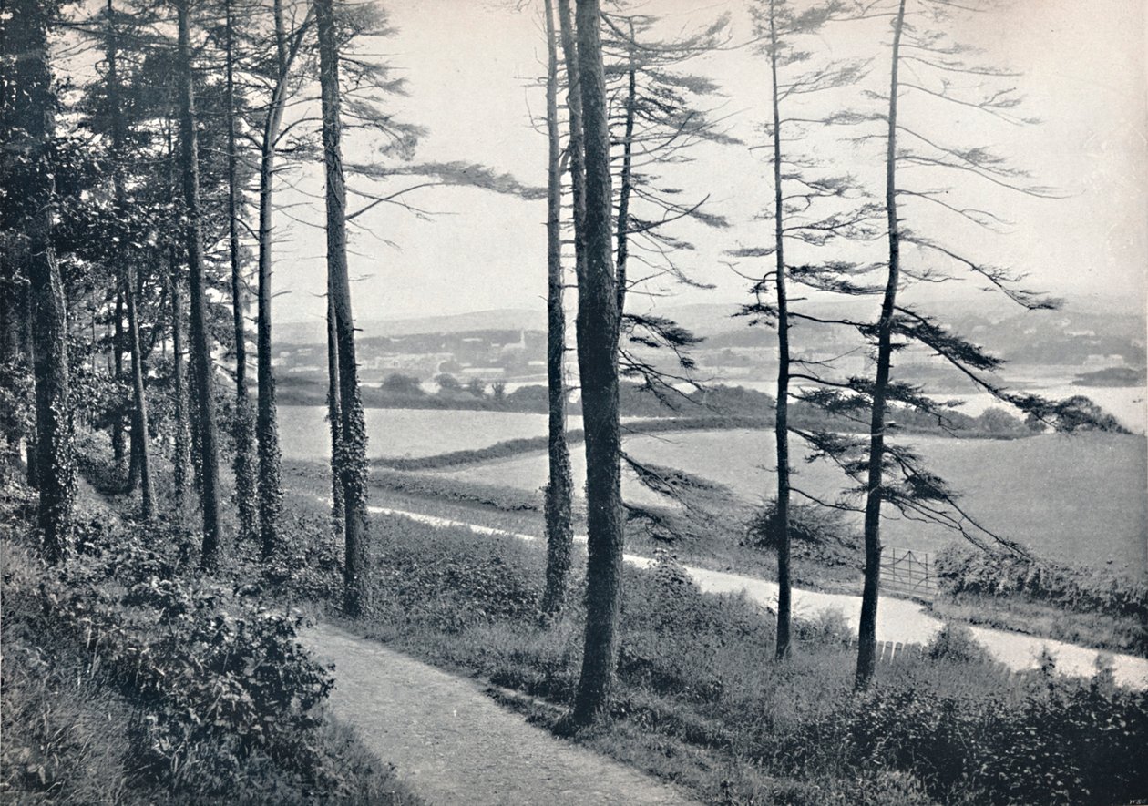 Menai - Fra Bangor Wood, 1895 av Unbekannt