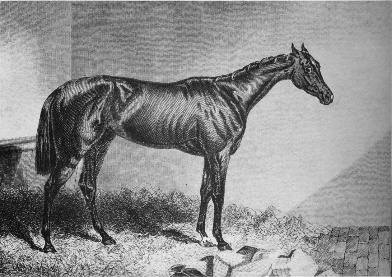 Mendicant, 1800-tallet, 1911 av Unbekannt