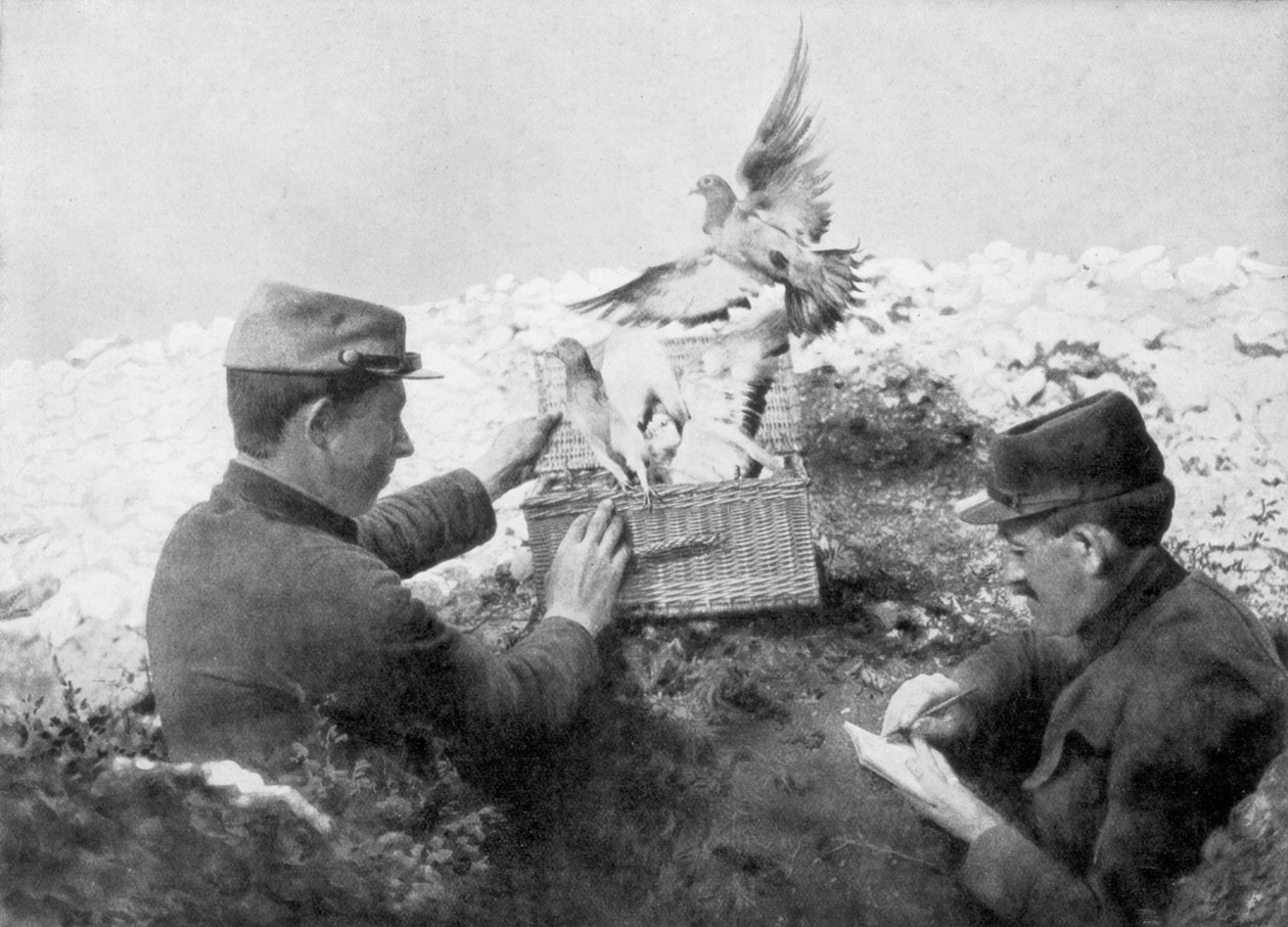 Sendeduer som ble sluppet ut ved frontlinjen, første verdenskrig, 1915 av Unbekannt