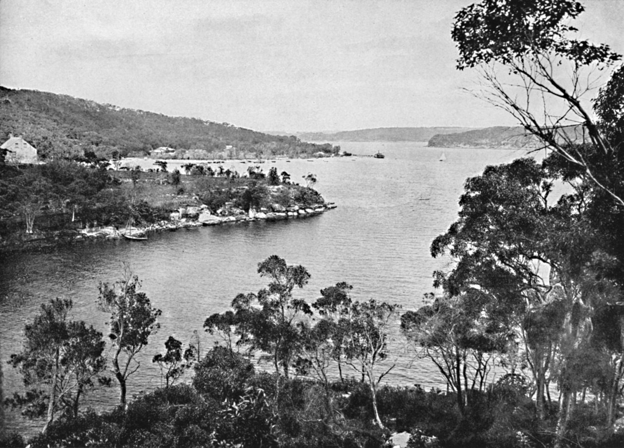 Middle Harbour, fra Spit Road, c1900. av Unbekannt