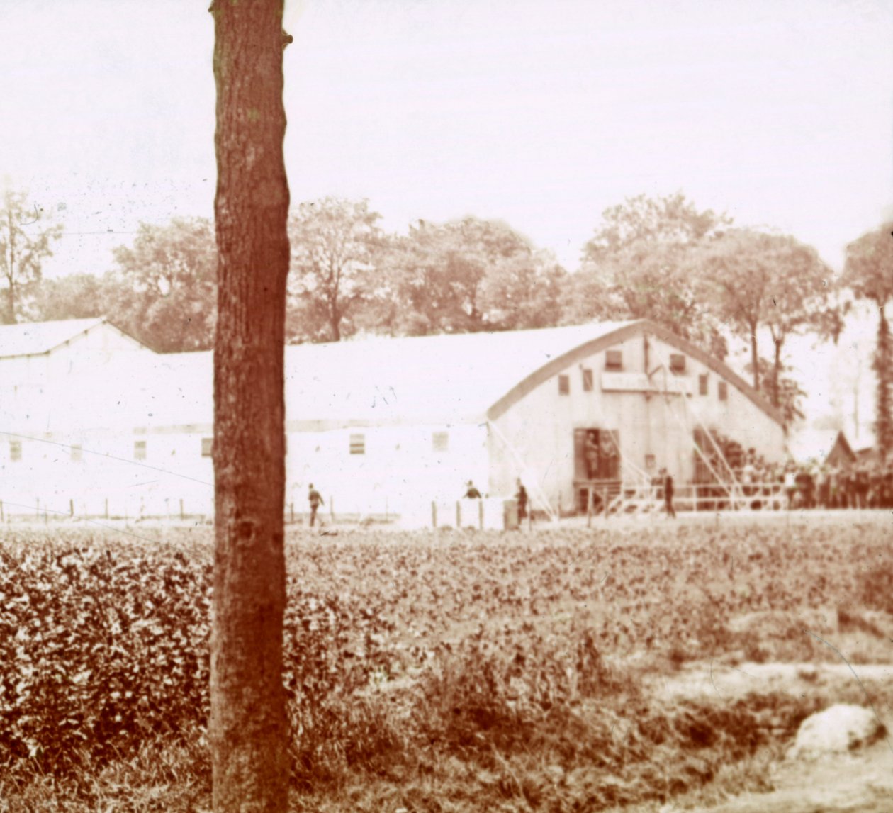 Militærbase, Furnes, Flandern, Belgia, c1914-c1918 av Unbekannt