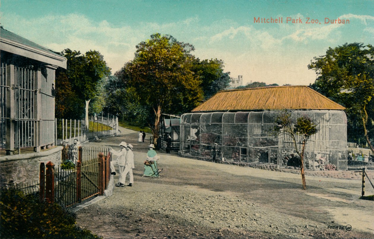 Mitchell Park Zoo, Durban, c1915 av Unbekannt